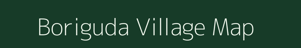 Boriguda village map in Odisha