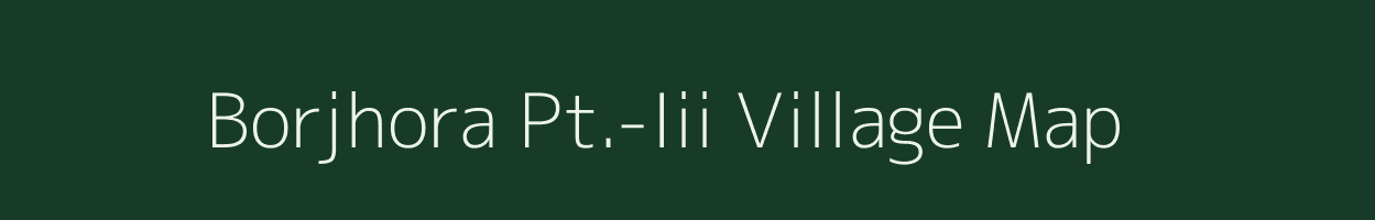 Borjhora Pt.-Iii village map in Assam
