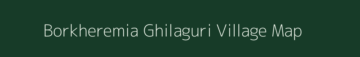 Borkheremia Ghilaguri village map in Assam