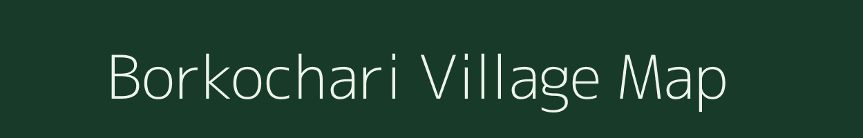 Borkochari village map in Assam