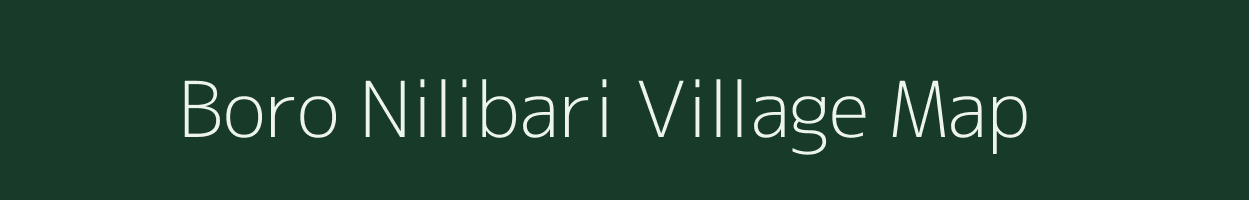 Boro Nilibari village map in Assam