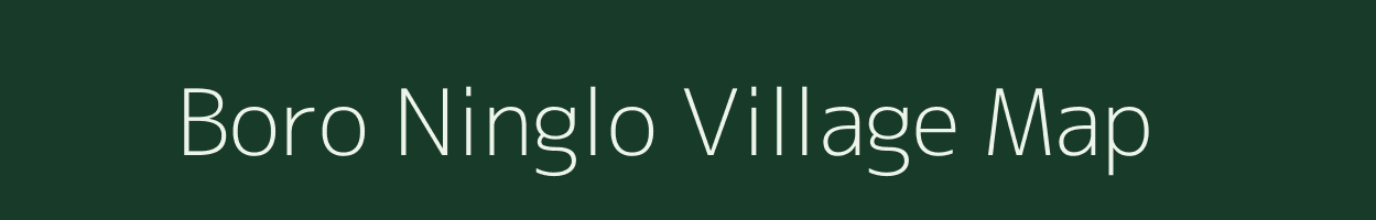 Boro Ninglo village map in Assam