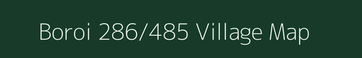 Boroi 286/485 village map in Assam