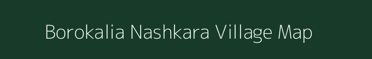 Borokalia Nashkara village map in Assam