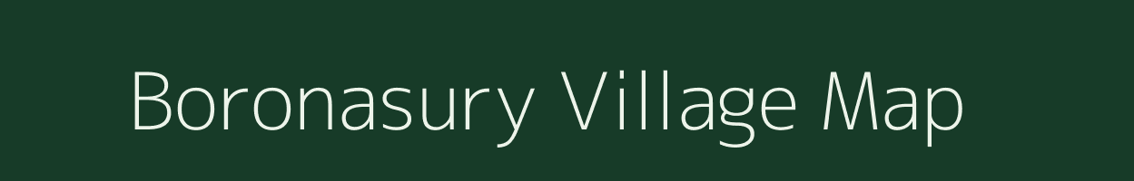 Boronasury village map in Mizoram