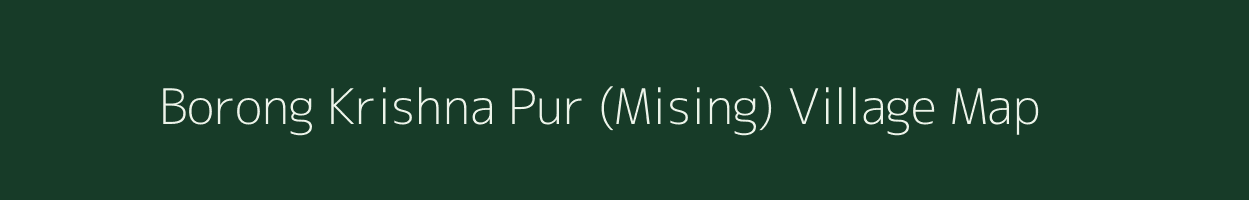 Borong Krishna Pur (Mising) village map in Assam