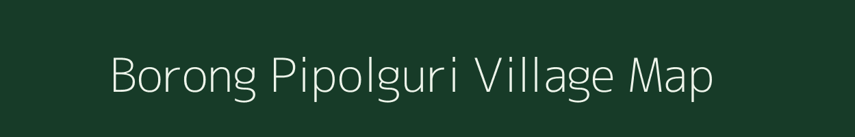 Borong Pipolguri village map in Assam