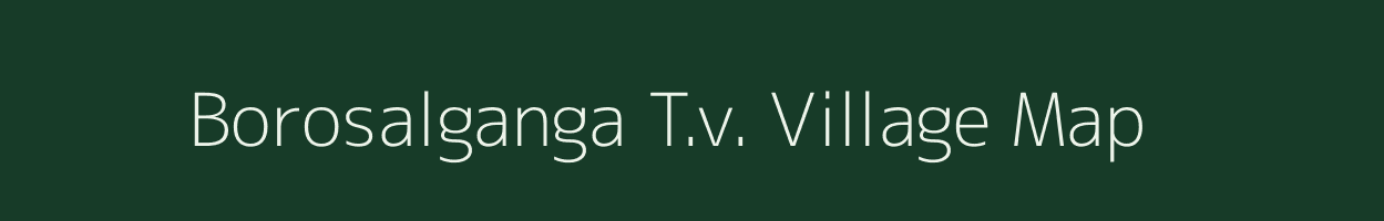 Borosalganga T.v. village map in Assam