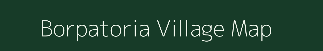 Borpatoria village map in Assam