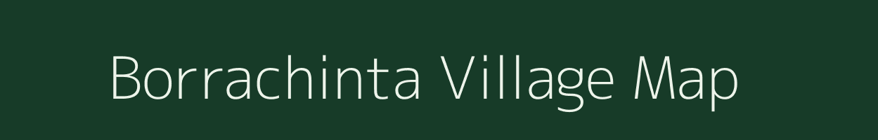 Borrachinta village map in Andhra Pradesh