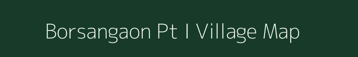 Borsangaon Pt I village map in Assam