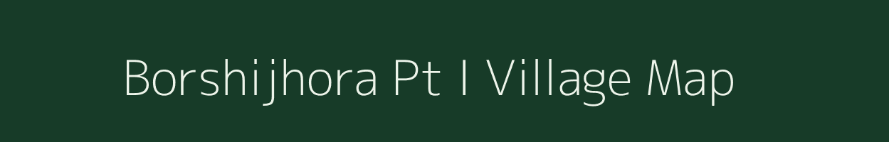 Borshijhora Pt I village map in Assam