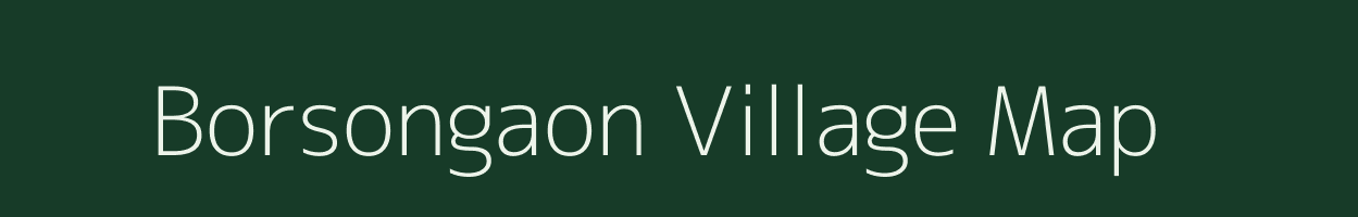 Borsongaon village map in Assam