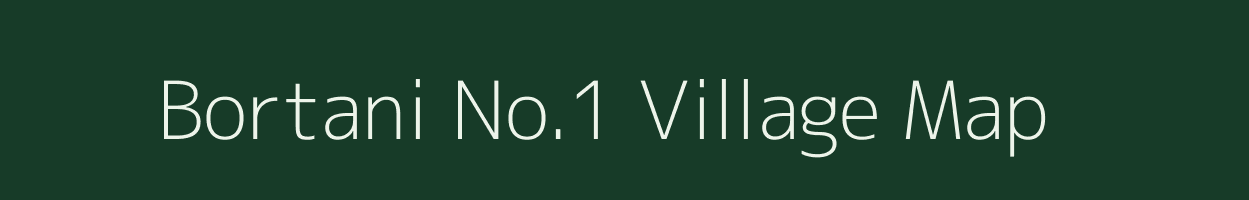 Bortani No.1 village map in Assam