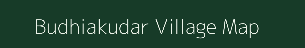 Budhiakudar village map in Odisha