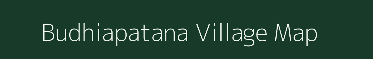 Budhiapatana village map in Odisha