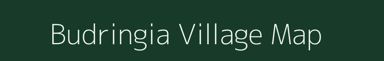 Budringia village map in Odisha