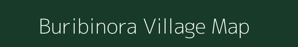 Buribinora village map in Jharkhand