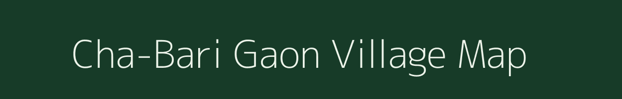 Cha-Bari Gaon village map in Assam