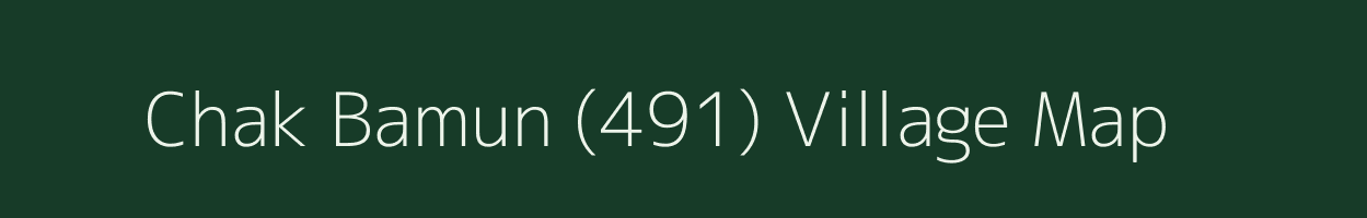 Chak Bamun (491) village map in Punjab