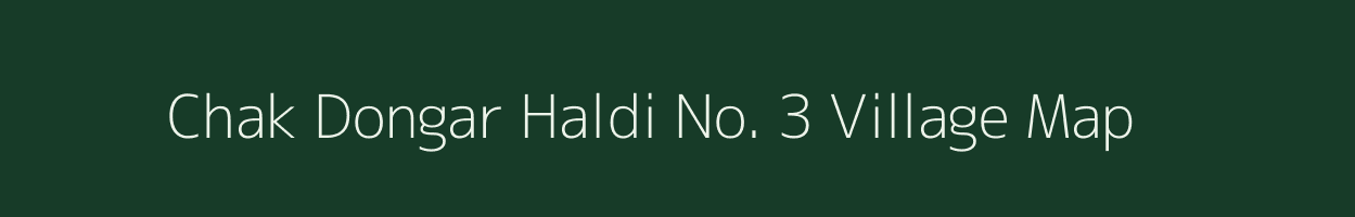 Chak Dongar Haldi No. 3 village map in Maharashtra