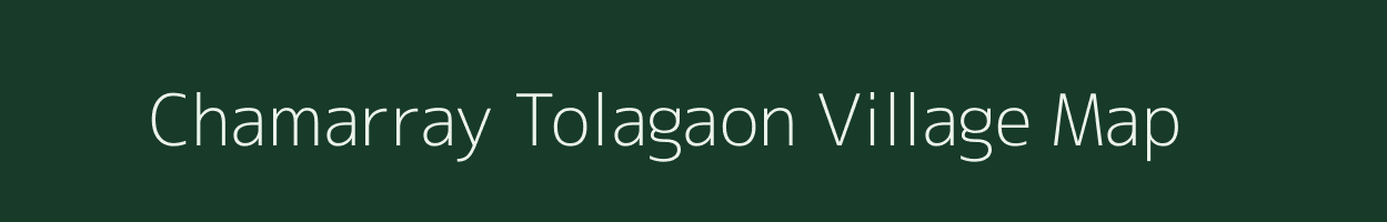 Chamarray Tolagaon village map in Chhattisgarh