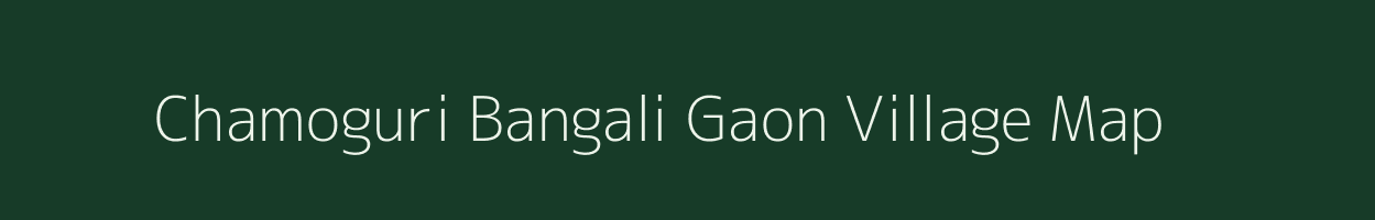 Chamoguri Bangali Gaon village map in Assam