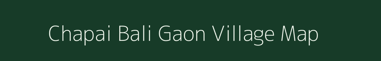 Chapai Bali Gaon village map in Assam