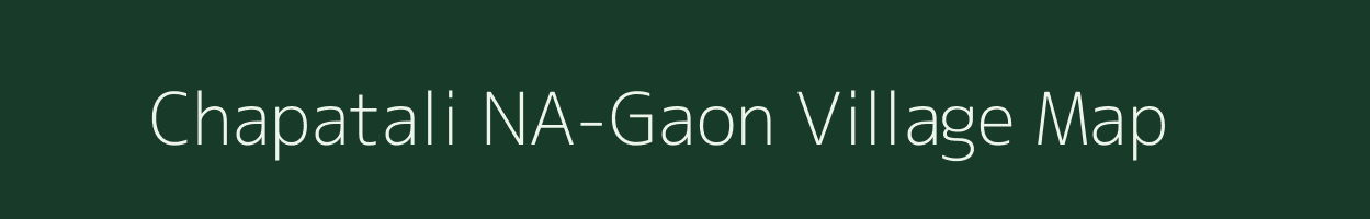 Chapatali NA-Gaon village map in Assam