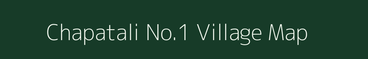 Chapatali No.1 village map in Assam