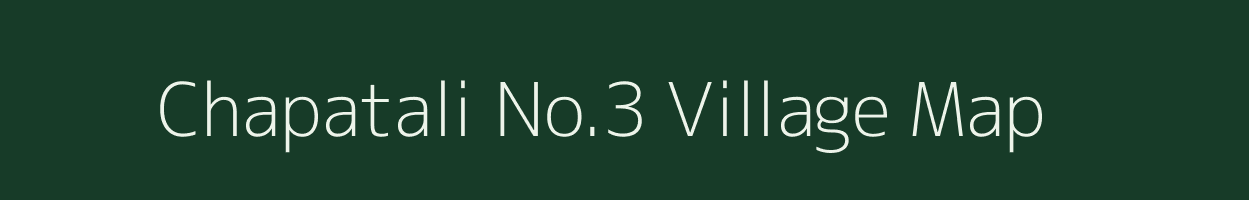Chapatali No.3 village map in Assam