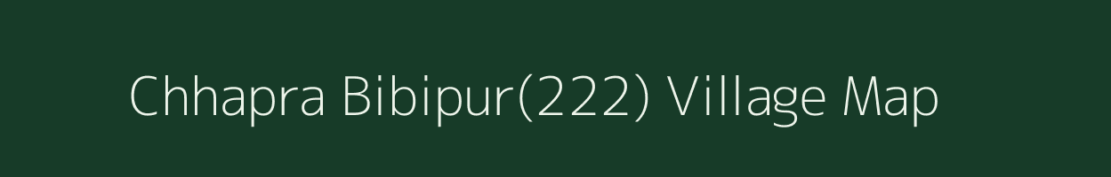 Chhapra Bibipur(222) village map in Haryana