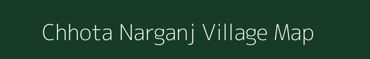 Chhota Narganj village map in Jharkhand