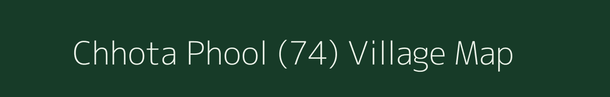 Chhota Phool (74) village map in Punjab