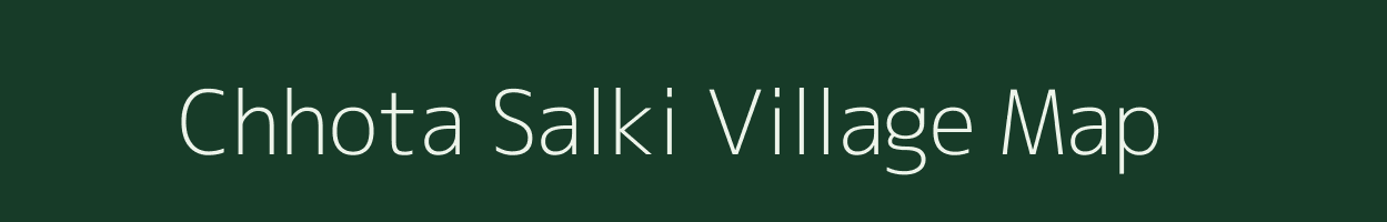 Chhota Salki village map in Bihar
