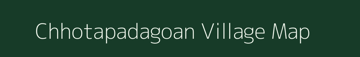 Chhotapadagoan village map in Odisha