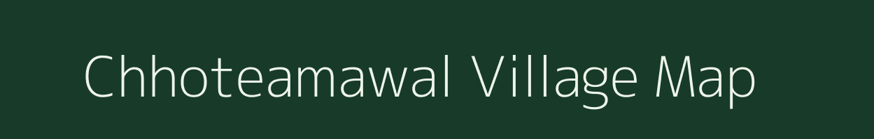 Chhoteamawal village map in Chhattisgarh