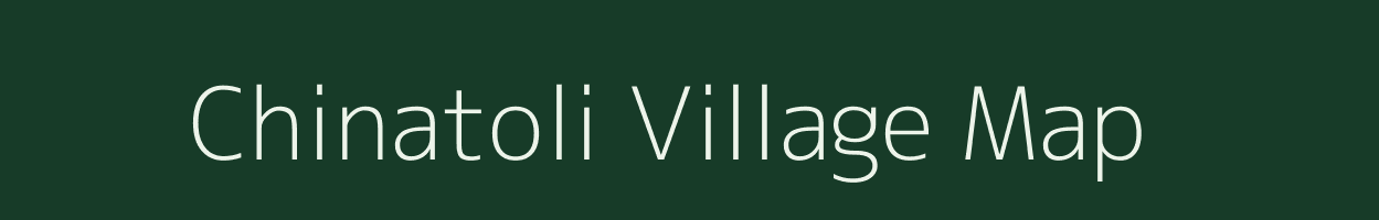 Chinatoli village map in Assam