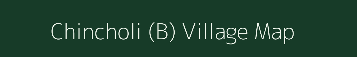 Chincholi (B) village map in Karnataka