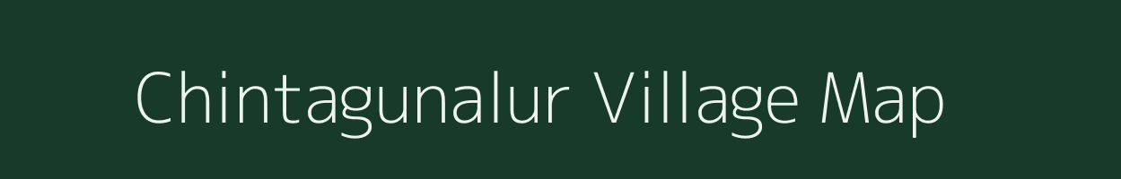 Chintagunalur village map in Odisha