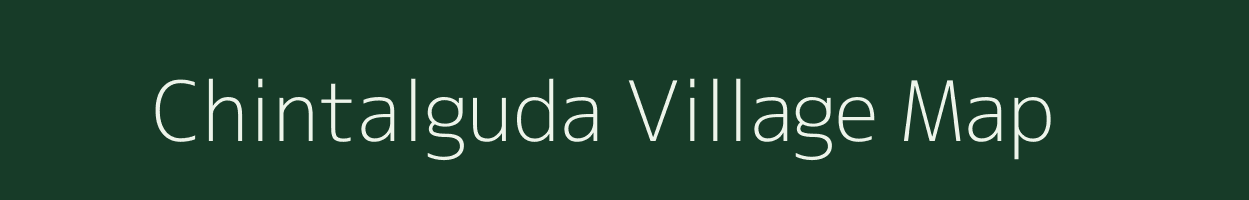 Chintalguda village map in Odisha
