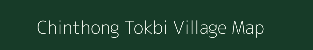 Chinthong Tokbi village map in Assam