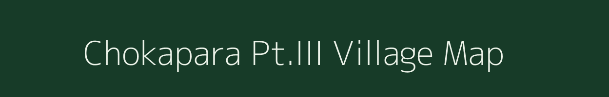 Chokapara Pt.III village map in Assam