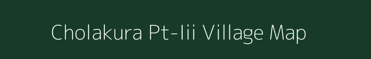 Cholakura Pt-Iii village map in Assam