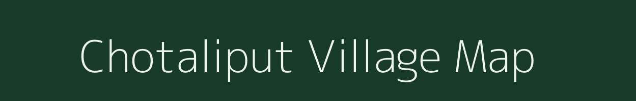 Chotaliput village map in Odisha