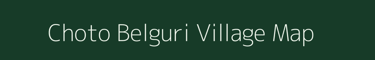 Choto Belguri village map in Assam