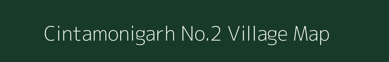 Cintamonigarh No.2 village map in Assam