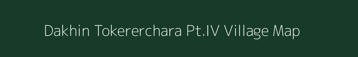 Dakhin Tokererchara Pt.IV village map in Assam