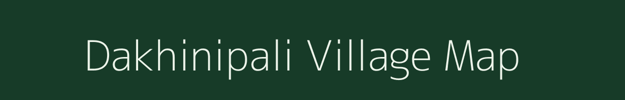 Dakhinipali village map in Odisha