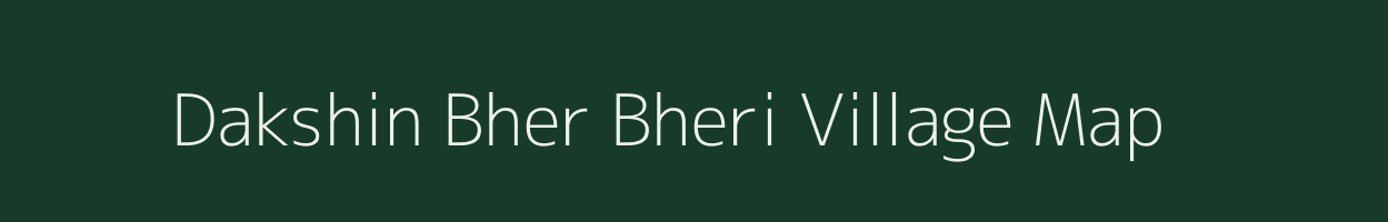 Dakshin Bher Bheri village map in Assam